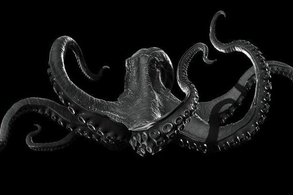 Kraken com зеркало