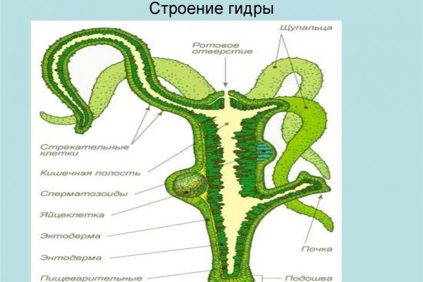 Кракен зеркало рабочее на сегодня