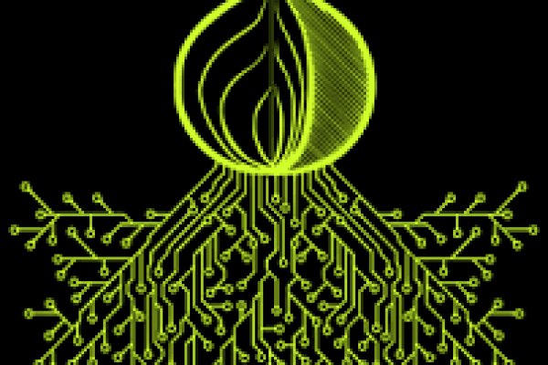 Kraken url