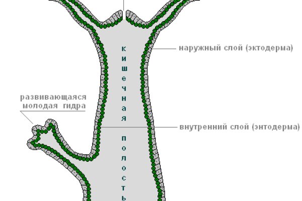 Кракен омг мега